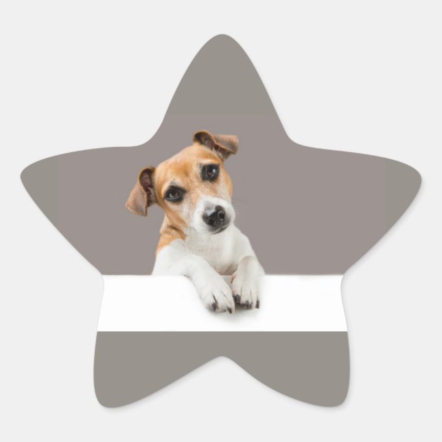 Adesivo Estrela Jack Russell Puppy Sweet Adorable Baby (Frente)