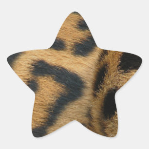 Adesivo Estrela jaguar-1