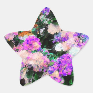 Adesivo Estrela Jardim da mãe