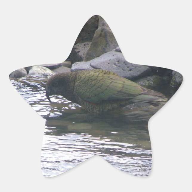 Adesivo Estrela Kea (Frente)