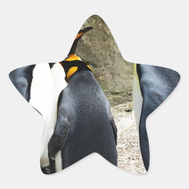 Adesivo Estrela King Penguin (Frente)