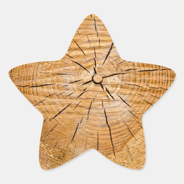 Adesivo Estrela Knotty Wood Slice da Vida (Frente)