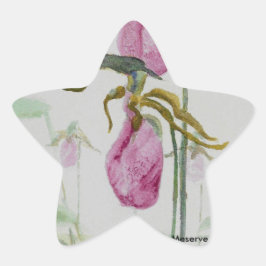 Adesivo Estrela Lady Slippers