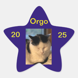 Adesivo Estrela Lenny Sticker