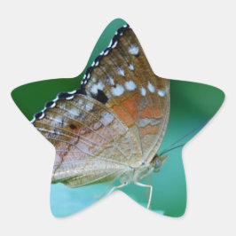 Adesivo Estrela Linda Borboleta Danaus Plexippus na Folha.