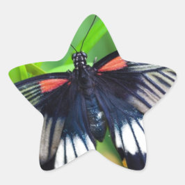 Adesivo Estrela Linda borboleta negra, branca e vermelha