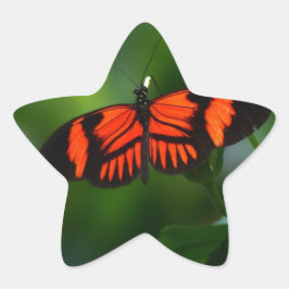 Adesivo Estrela Linda borboleta vermelha e negra