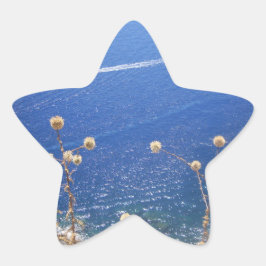 Adesivo Estrela Mar Azul grego