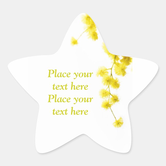 Adesivo Estrela Mimosa (Frente)
