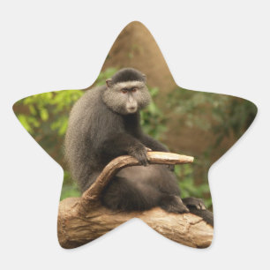 Adesivo Estrela Monkey Star Sticker