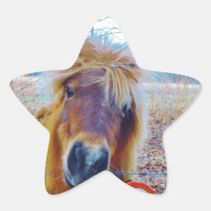 Adesivo Estrela Namorados