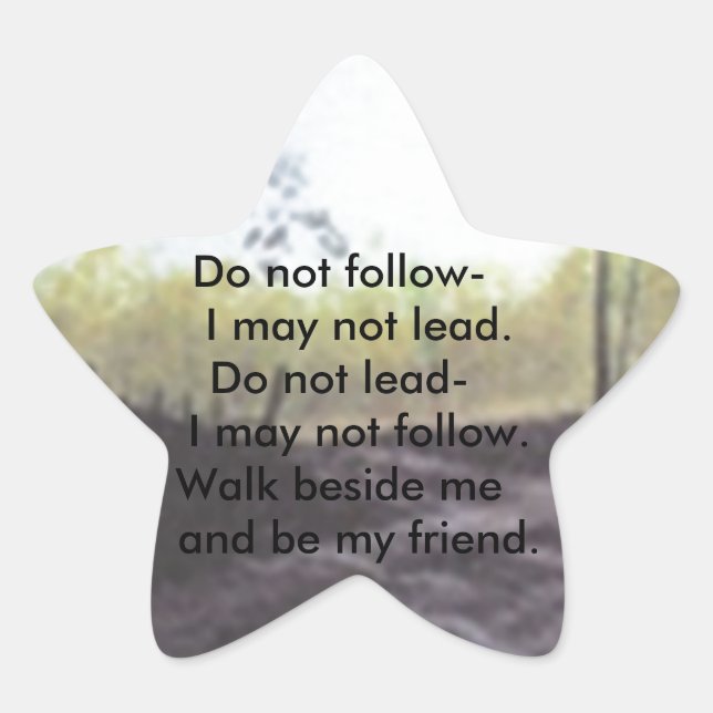 ADESIVO ESTRELA NÃO SIGA SE EU NÃO LIDERAR (Frente)