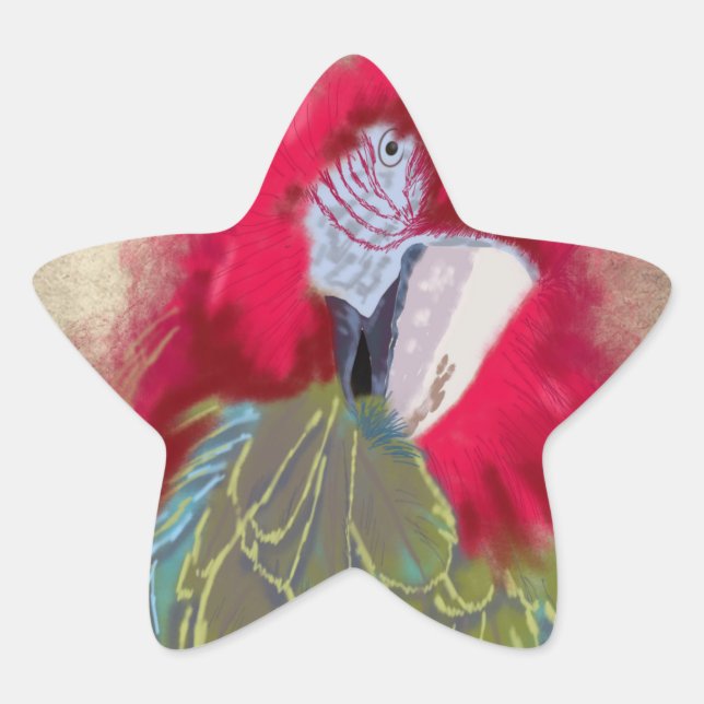 Adesivo Estrela O papagaio - Sticker (Frente)