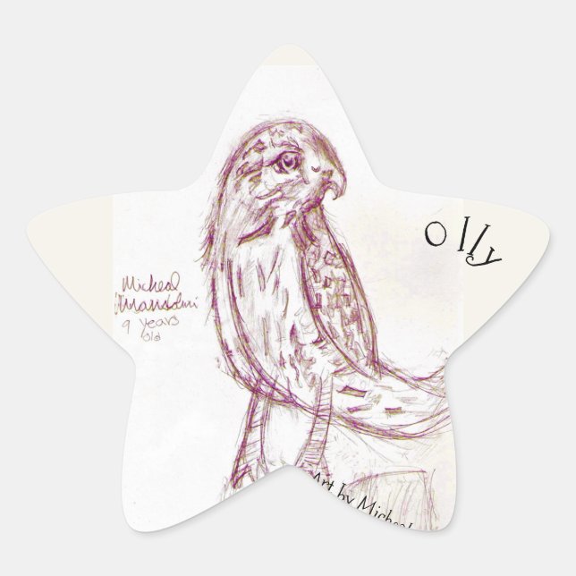 Adesivo Estrela Olly Stickers (Frente)