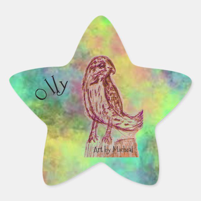 Adesivo Estrela Olly Stickers (Frente)
