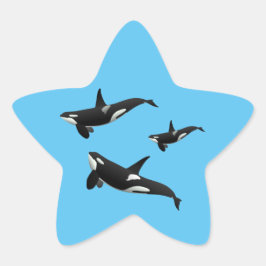 Adesivo Estrela Orca