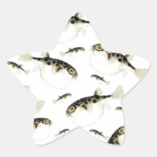 Adesivo Estrela Padrões Brancos de Peixe Puffer