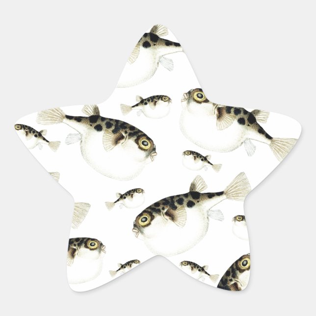 Adesivo Estrela Padrões Brancos de Peixe Puffer (Frente)