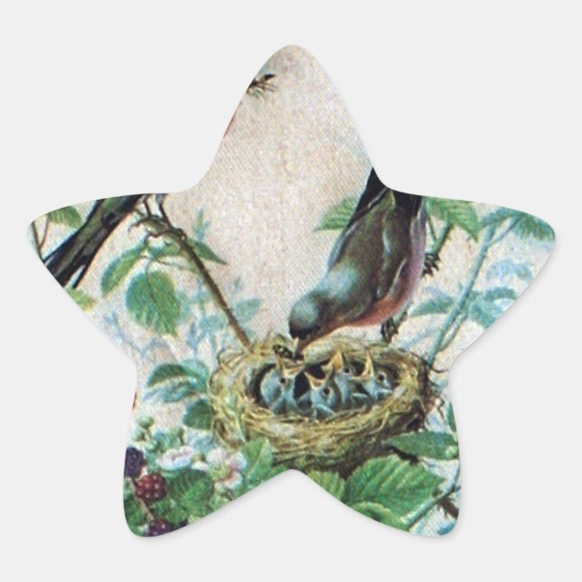 Adesivo Estrela Pais Parados, Pintinhos Preciosos: Uma História da (Frente)