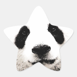 Adesivo Estrela Panda