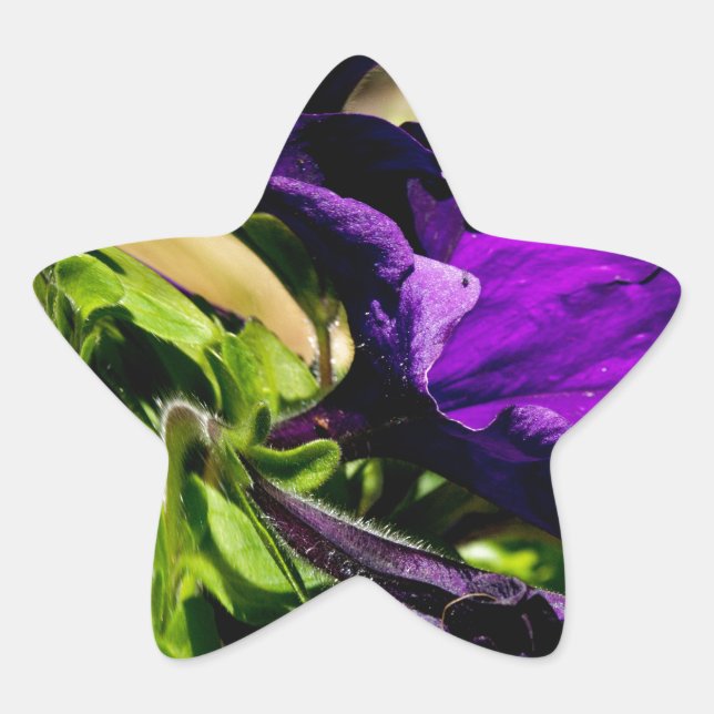 Adesivo Estrela Pânico Roxo (Frente)