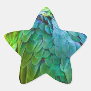 Adesivo Estrela Papagaio verde