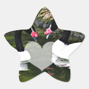 Adesivo Estrela Para Sempre Seu, Sempre & Para Sempre_