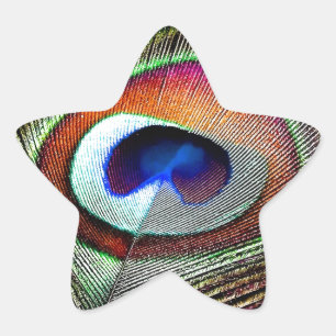 Adesivo Estrela Pena Colorida de Pavão de Cobre