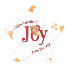 Pequeno Pacote de Alegria Urso