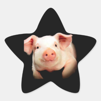 Adesivo Estrela Pequeno Porquinho
