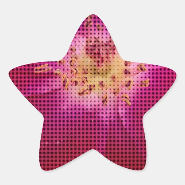 Adesivo Estrela Perfeição Petal: Arte de Padrão Petal Rosa verific (Frente)