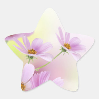 Adesivo Estrela Personalizar Imagem & Flor Rosa Aquarela