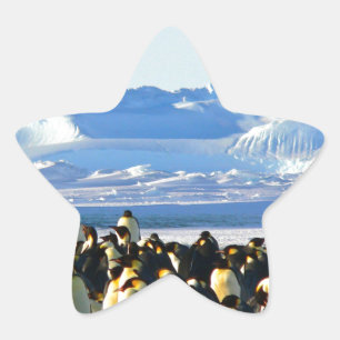 Adesivo Estrela Pinguins imperadores