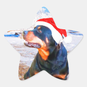 Adesivo Estrela Pintura de Natal do Cão Rottweiler