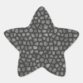 Adesivo Estrela Piso de pedra