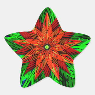 Adesivo Estrela Poinsettia (Autocolantes em forma de estrela)