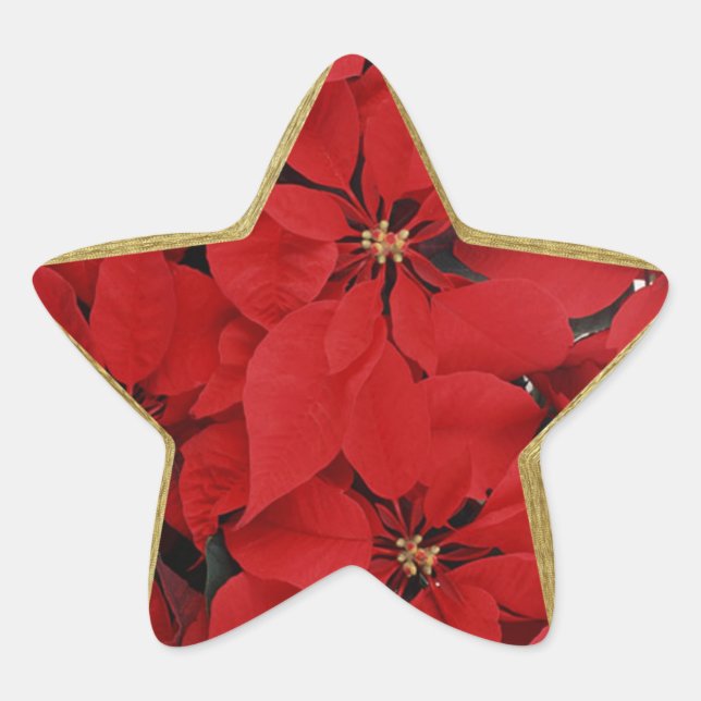 Adesivo Estrela Poinsettias em forma de estrela de Natal (Frente)