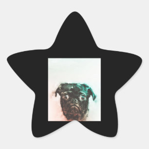 Adesivo Estrela Pug Watercolor Cachorro Cachorro Cachorro