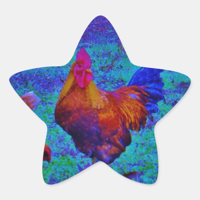 Adesivo Estrela Rainbow Rooster & Hens, Blue Elétrico (Frente)