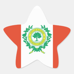 Adesivo Estrela Raleigh, Bandeira da Carolina do Norte