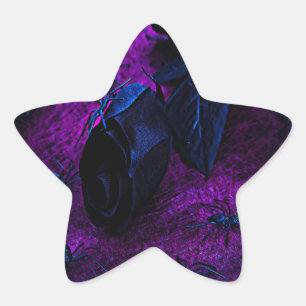 Adesivo Estrela Rosa de Material Negro Spooky, Aranhas Negras