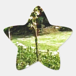Adesivo Estrela Rosa de Stratford-on-Avon Garden snap-29602 jGibne