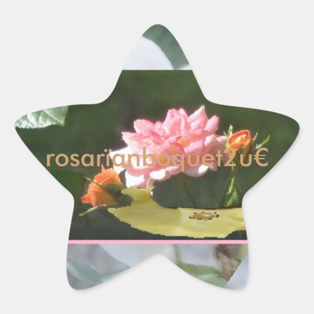 Adesivo Estrela rosaranboquet2u (Frente)
