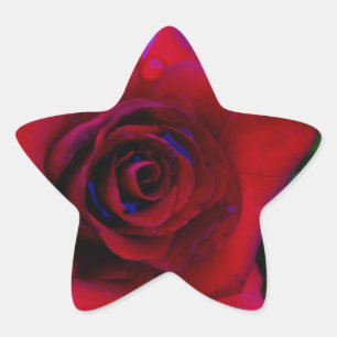 Adesivo Estrela Rosas vermelhas com tons azuis