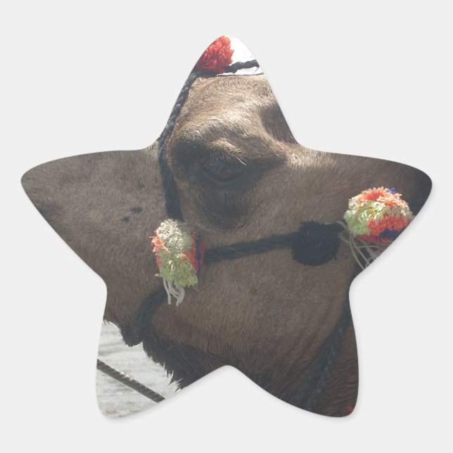 Adesivo Estrela Roxo Africano e Caleidoscópio Amarelo Tradicional (Frente)