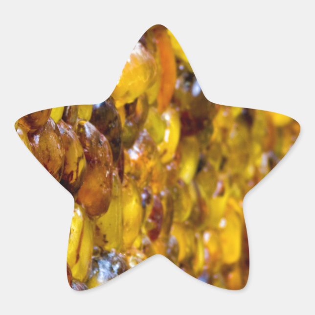 Adesivo Estrela Rua. Thomas 2 (Frente)