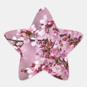 Adesivo Estrela Sakura Cherry Blossoms Pastel Pink Camadas