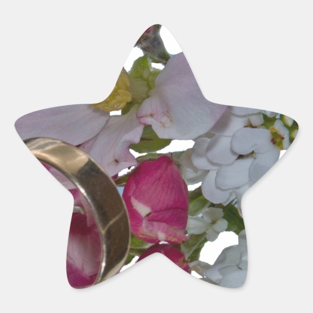 Adesivo Estrela Saudações - Saúde (Frente)