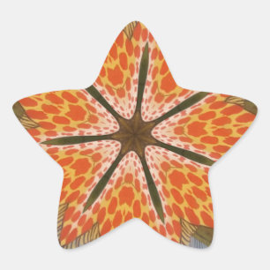 Adesivo Estrela Savanna Star Bloom - Um Bold Animal Print