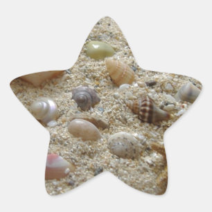 Adesivo Estrela Seashells na areia